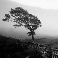 bordale, cumbria 1988