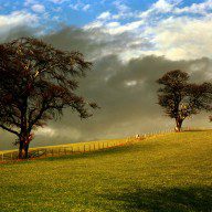 eden-valley-cumbria-2000