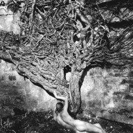 Naked vine 1985