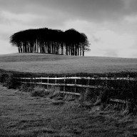 wiltshire-england-1996