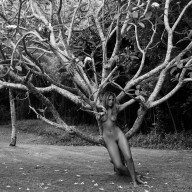 philippa, barbados, tree 2007