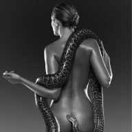 snake series no1 2008